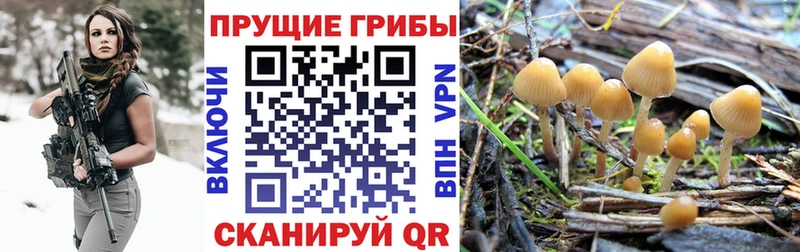 Галлюциногенные грибы GOLDEN TEACHER  Купить  Кизел 