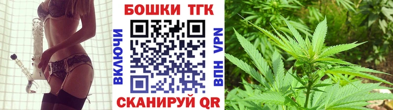 Бошки Шишки планчик Кизел